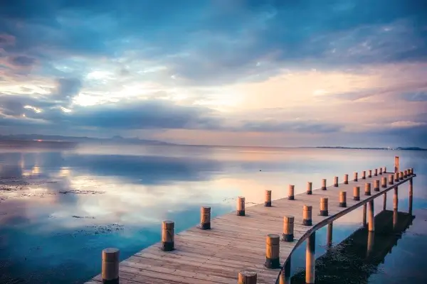 怎样介绍公司股东